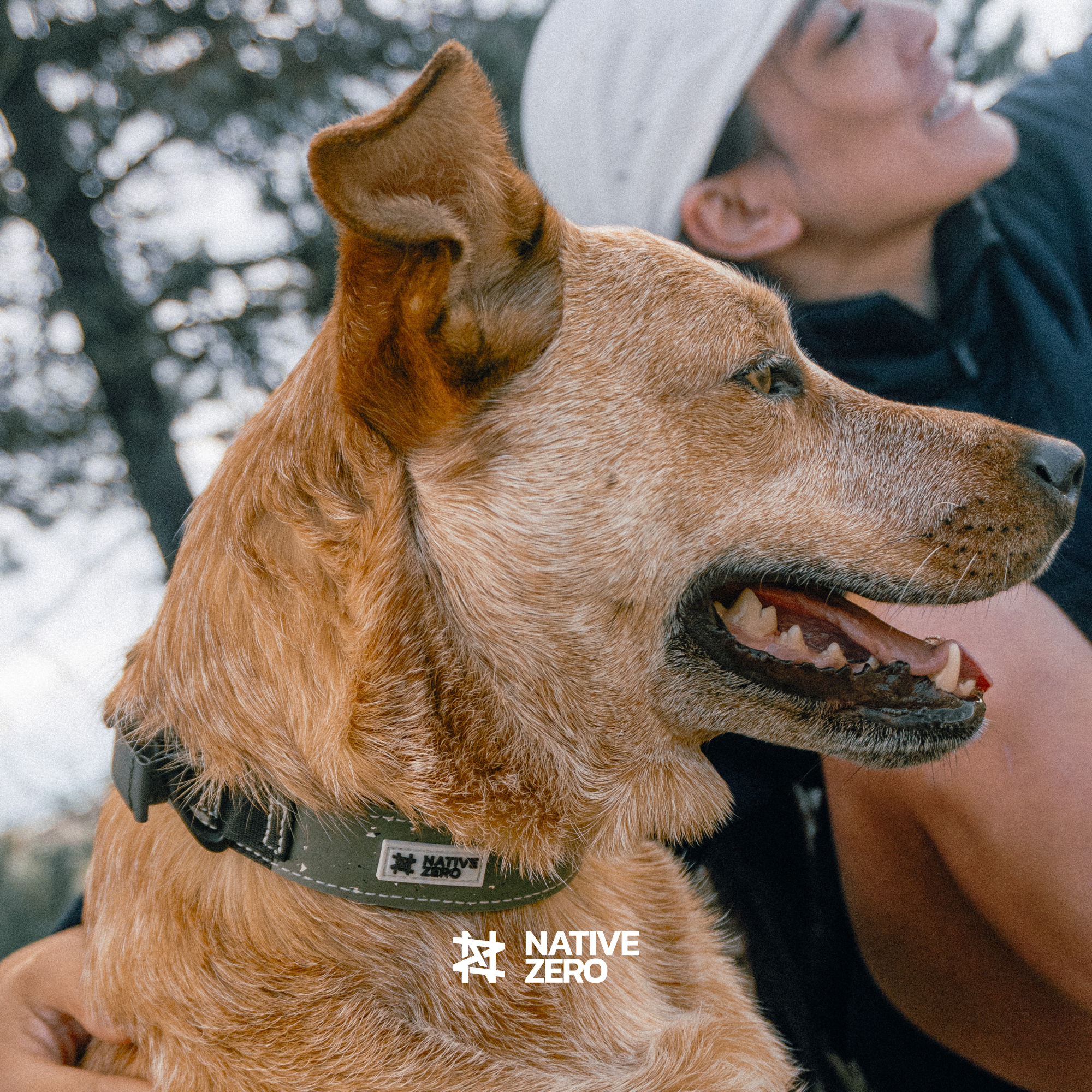 ARI 1.0 best dog collar for hiking, close-up profile with owner outdoors — NATIVE ZERO