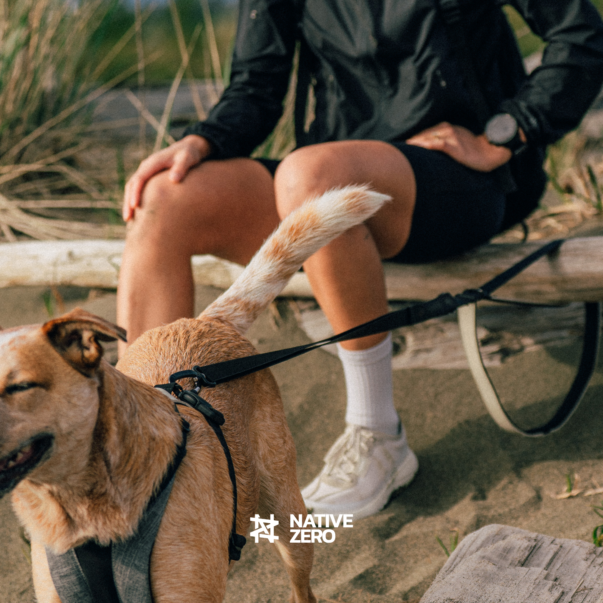 LIBERTY 1.0 dog leash instantly tethered at rest, secure clip in use — NATIVE ZERO