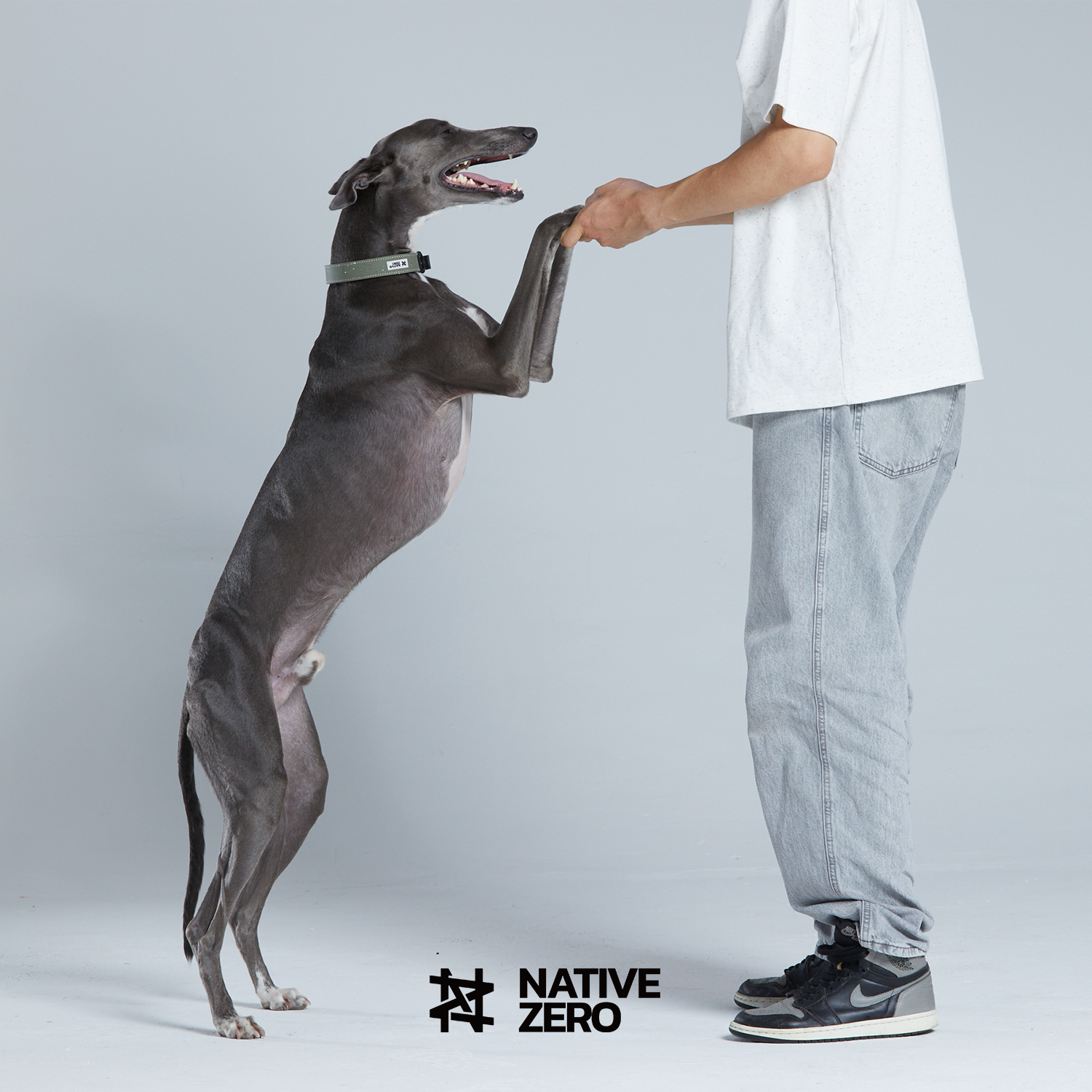 Native Zero ARI 1.0, Dog Collar, Sustainable Dog Collar, Waterproof Dog Collar, Outdoor Dog Collar, Sports Dog Collar, Easy On Easy Off, Easy To Clean, Dual Layer Protection Dog Collar, Sustainable Gears For Dogs, Sports Gear For Dogs, Hiking Gears For Dogs, Outdoor Gears For Dogs, Native Zero, Sustainable, Dog Gears, Outdoor, Hiking, Running, Urban Green.