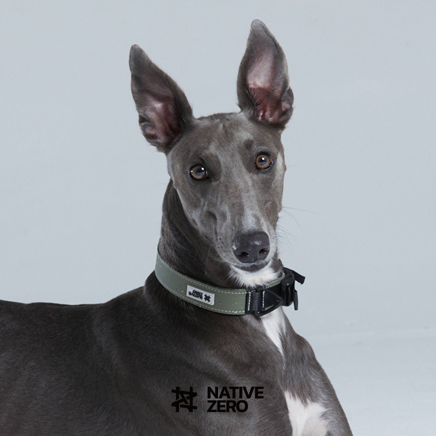 Native Zero ARI 1.0, Dog Collar, Sustainable Dog Collar, Waterproof Dog Collar, Outdoor Dog Collar, Sports Dog Collar, Easy On Easy Off, Easy To Clean, Dual Layer Protection Dog Collar, Sustainable Gears For Dogs, Sports Gear For Dogs, Hiking Gears For Dogs, Outdoor Gears For Dogs, Native Zero, Sustainable, Dog Gears, Outdoor, Hiking, Running, Urban Green.