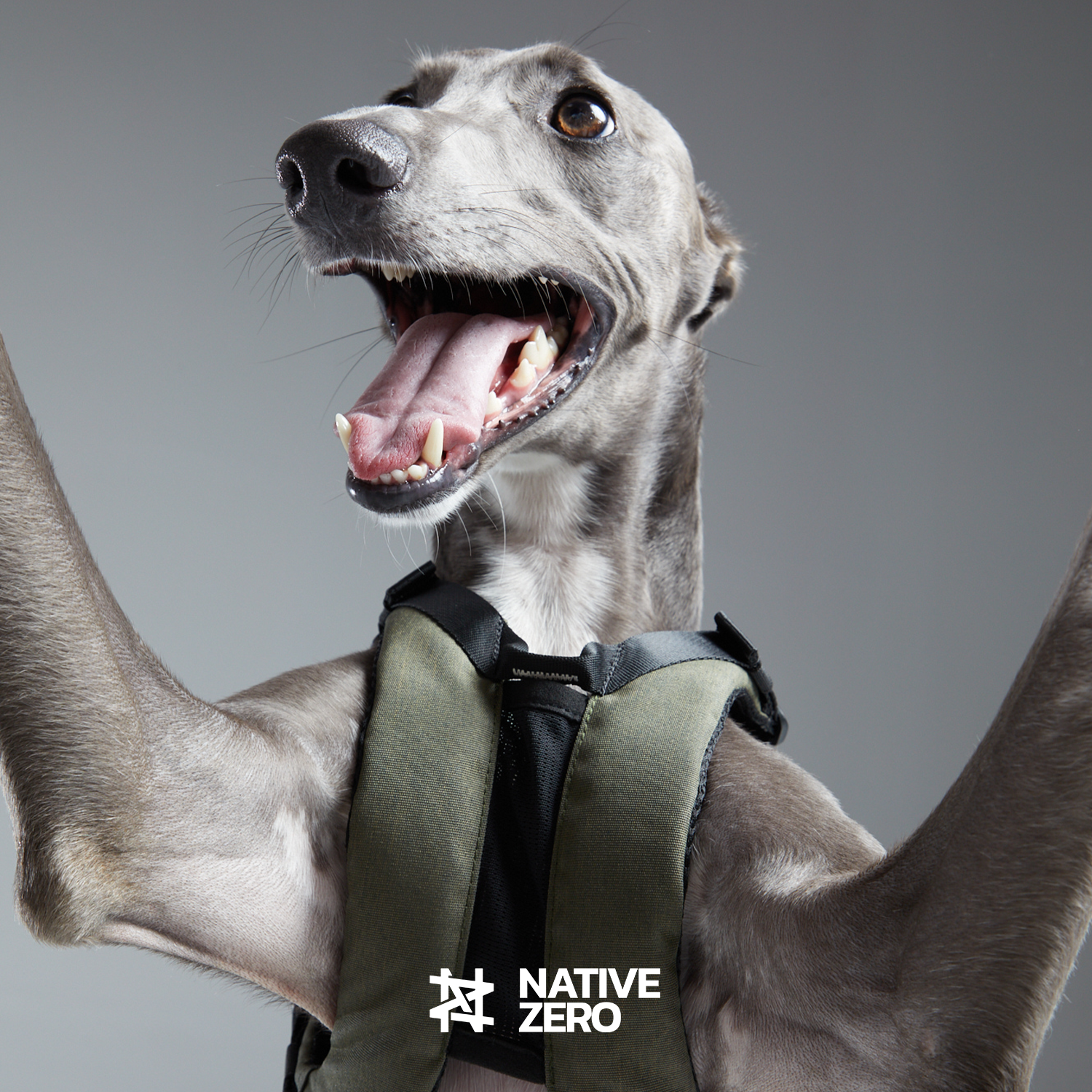 Native Zero NOAH 1.5, Dog Harness, Sustainable Dog Harness, Sports Dog Harness, Performance Dog Harness, Running Dog Harness, Hiking Dog Harness, Waterproof, Sustainable, Outdoor Gears For Dog, Sustainable Gears For Dog, Sports Gears For Dog, Magnetic Buckle, Trachea Protection, Trachea Collapse Prevention, FLEX-GRIND, rPET, Native Zero, Dog Gear. Urban Green