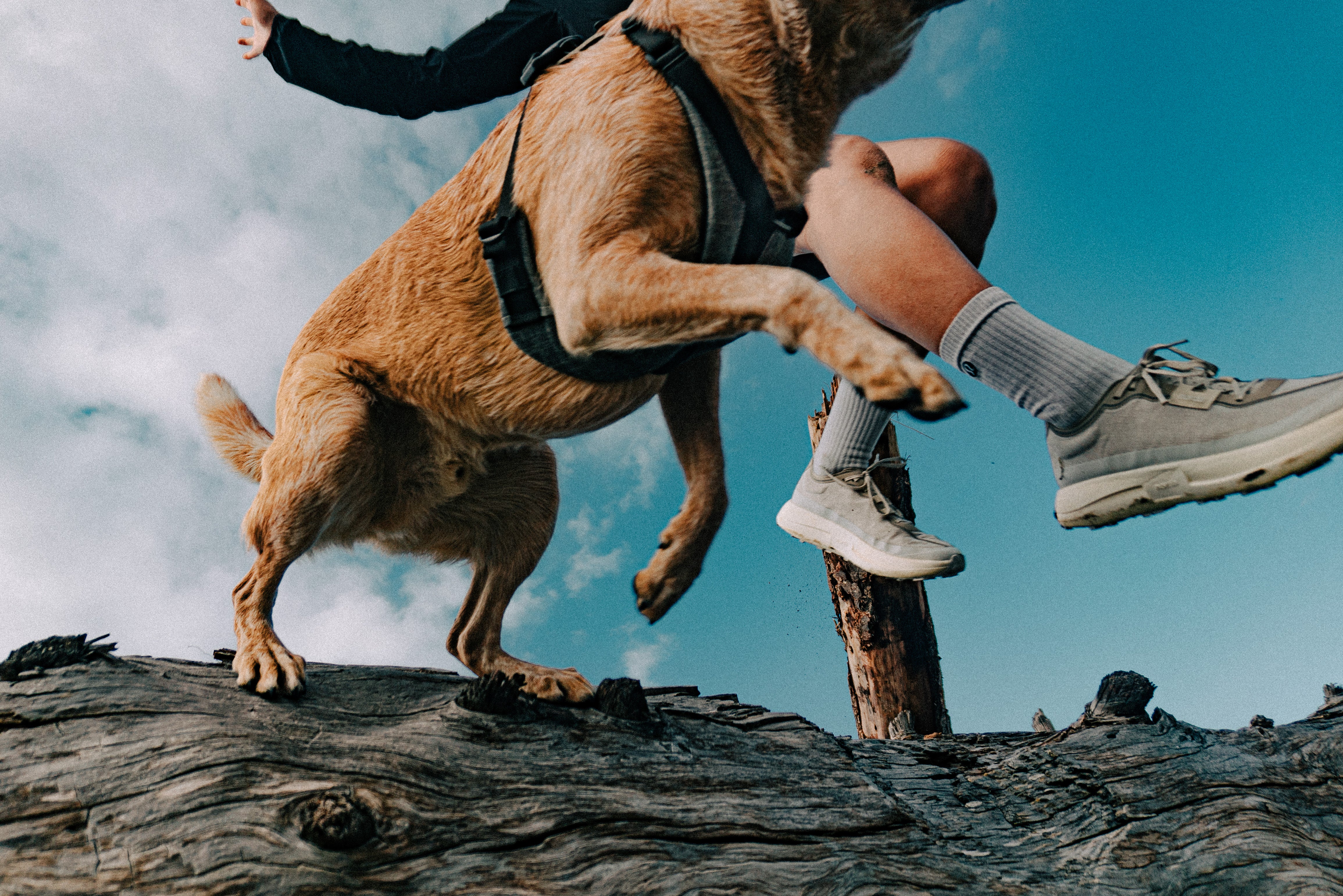 Explorer System Lite // NOAH 1.5 + LIBERTY 1.0 STREET